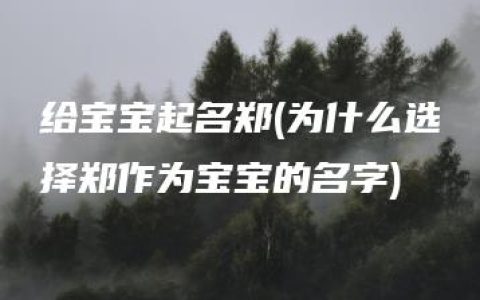 给宝宝起名郑(为什么选择郑作为宝宝的名字)