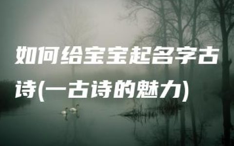 如何给宝宝起名字古诗(一古诗的魅力)