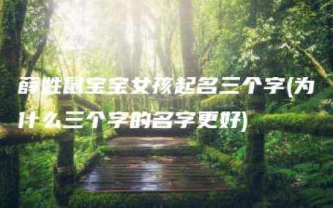 薛姓鼠宝宝女孩起名三个字(为什么三个字的名字更好)