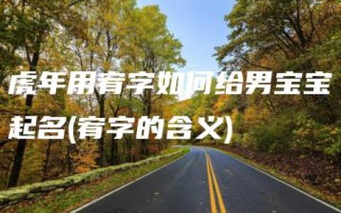 虎年用宥字如何给男宝宝起名(宥字的含义)