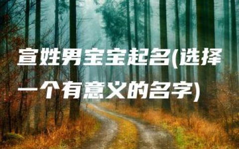 宣姓男宝宝起名(选择一个有意义的名字)