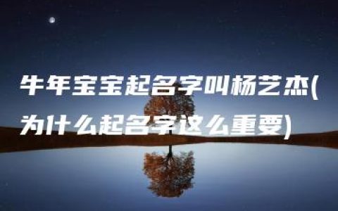 牛年宝宝起名字叫杨艺杰(为什么起名字这么重要)