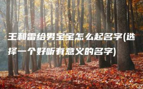 王和雷给男宝宝怎么起名字(选择一个好听有意义的名字)