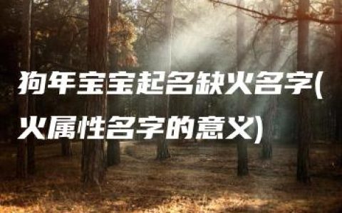 狗年宝宝起名缺火名字(火属性名字的意义)