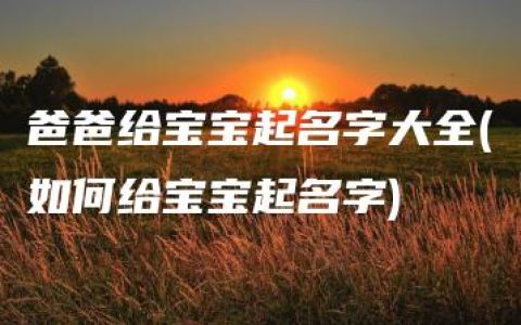 爸爸给宝宝起名字大全(如何给宝宝起名字)