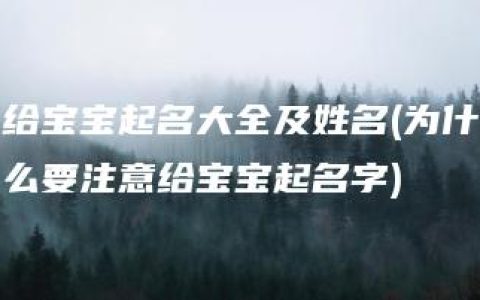 给宝宝起名大全及姓名(为什么要注意给宝宝起名字)