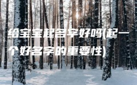 给宝宝起名字好吗(起一个好名字的重要性)