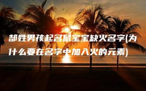 郜姓男孩起名鼠宝宝缺火名字(为什么要在名字中加入火的元素)