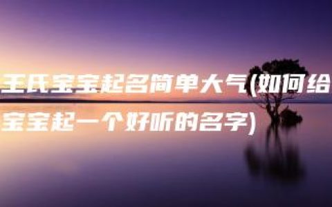 王氏宝宝起名简单大气(如何给宝宝起一个好听的名字)