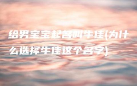 给男宝宝起名叫牛佳(为什么选择牛佳这个名字)