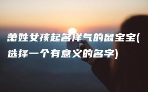 萧姓女孩起名洋气的鼠宝宝(选择一个有意义的名字)