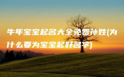 牛年宝宝起名大全免费孙姓(为什么要为宝宝起好名字)