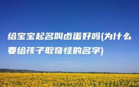 给宝宝起名叫卤蛋好吗(为什么要给孩子取奇怪的名字)