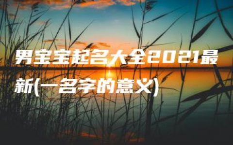 男宝宝起名大全2021最新(一名字的意义)