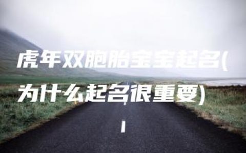 虎年双胞胎宝宝起名(为什么起名很重要)