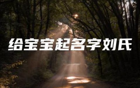 给宝宝起名字刘氏