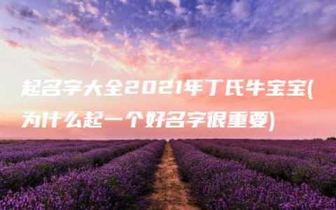 起名字大全2021年丁氏牛宝宝(为什么起一个好名字很重要)