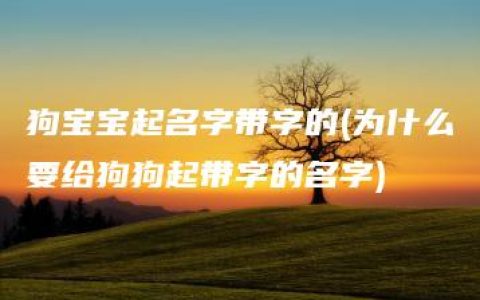 狗宝宝起名字带字的(为什么要给狗狗起带字的名字)