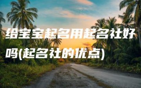 给宝宝起名用起名社好吗(起名社的优点)