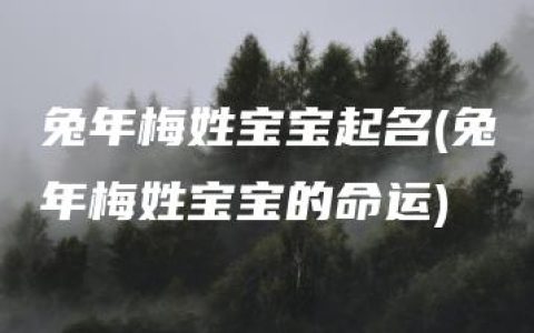 兔年梅姓宝宝起名(兔年梅姓宝宝的命运)