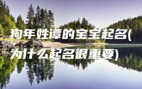 狗年姓谭的宝宝起名(为什么起名很重要)