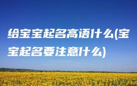 给宝宝起名高语什么(宝宝起名要注意什么)