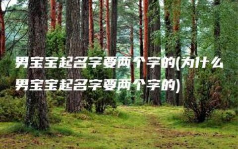 男宝宝起名字要两个字的(为什么男宝宝起名字要两个字的)