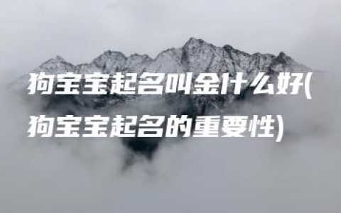 狗宝宝起名叫金什么好(狗宝宝起名的重要性)