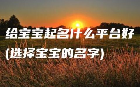 给宝宝起名什么平台好(选择宝宝的名字)