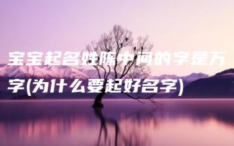 宝宝起名姓陈中间的字是万字(为什么要起好名字)