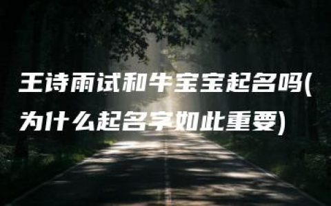 王诗雨试和牛宝宝起名吗(为什么起名字如此重要)