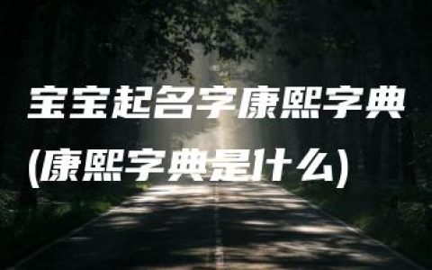 宝宝起名字康熙字典(康熙字典是什么)