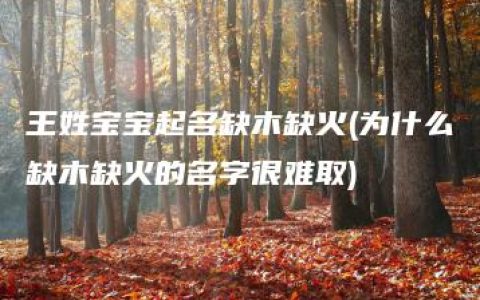 王姓宝宝起名缺木缺火(为什么缺木缺火的名字很难取)