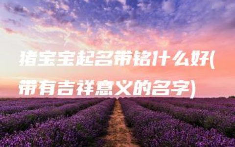 猪宝宝起名带铭什么好(带有吉祥意义的名字)