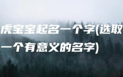 虎宝宝起名一个字(选取一个有意义的名字)