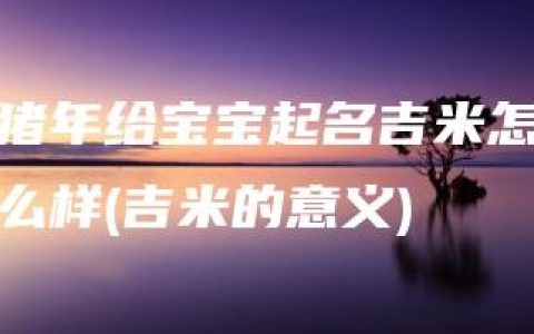 猪年给宝宝起名吉米怎么样(吉米的意义)