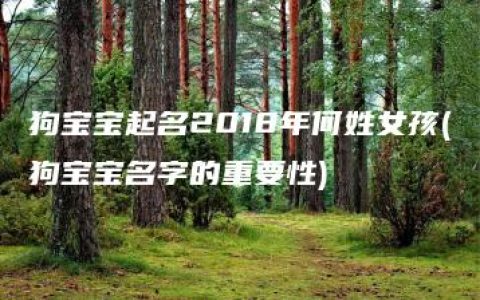 狗宝宝起名2018年何姓女孩(狗宝宝名字的重要性)