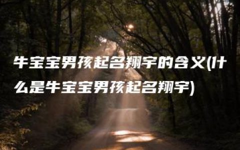 牛宝宝男孩起名翔宇的含义(什么是牛宝宝男孩起名翔宇)