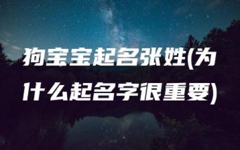 狗宝宝起名张姓(为什么起名字很重要)