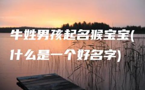 牛姓男孩起名猴宝宝(什么是一个好名字)