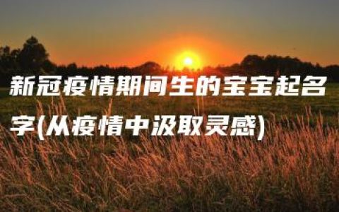 新冠疫情期间生的宝宝起名字(从疫情中汲取灵感)