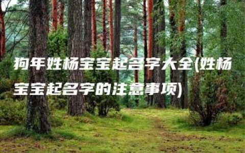 狗年姓杨宝宝起名字大全(姓杨宝宝起名字的注意事项)