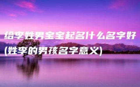 给李姓男宝宝起名什么名字好(姓李的男孩名字意义)