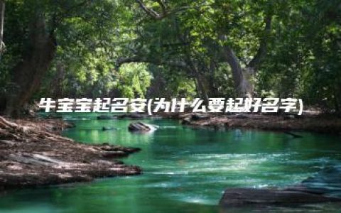 牛宝宝起名安(为什么要起好名字)