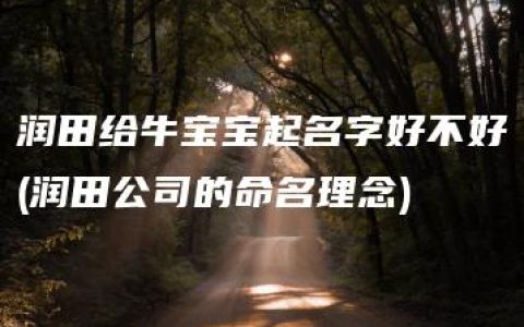 润田给牛宝宝起名字好不好(润田公司的命名理念)