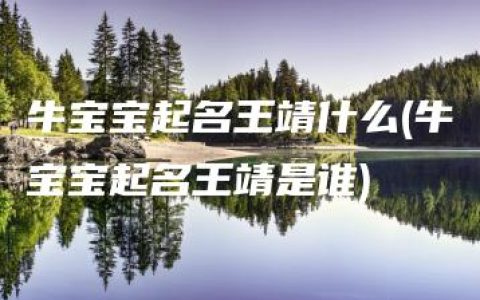 牛宝宝起名王靖什么(牛宝宝起名王靖是谁)