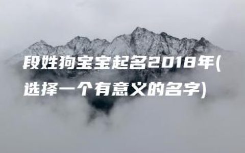 段姓狗宝宝起名2018年(选择一个有意义的名字)