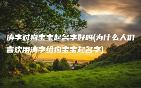 涛字对狗宝宝起名字好吗(为什么人们喜欢用涛字给狗宝宝起名字)