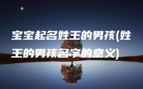 宝宝起名姓王的男孩(姓王的男孩名字的意义)