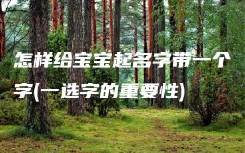 怎样给宝宝起名字带一个字(一选字的重要性)